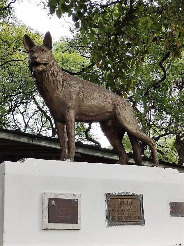Descubrí la historia real de Chonino, el perro policía que dio origen al Día Nacional del Perro en Argentina. Un homenaje a la lealtad y el amor incondicional de nuestros compañeros de cuatro patas.