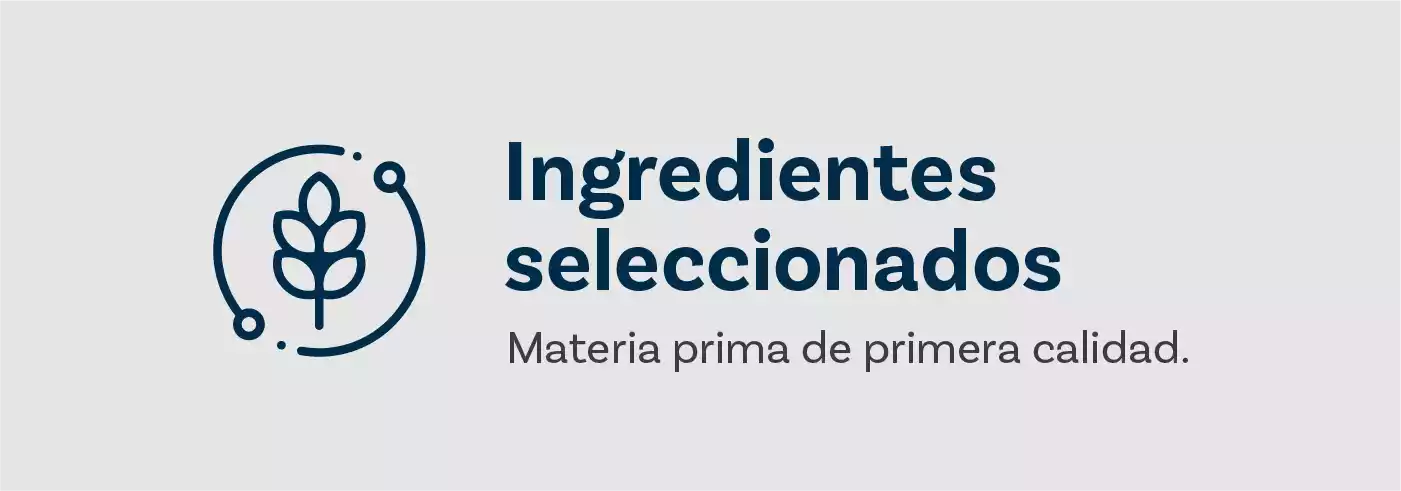Recurso 11@3x